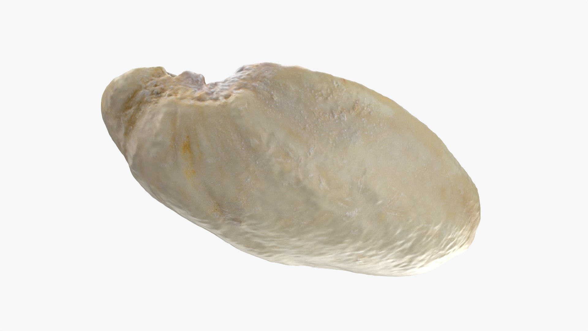 Empty Pistachio Shell 02 model https://p.turbosquid.com/ts-thumb/5C/iaVXBD/eI/pistachioshell2_0006/png/1755085465/1920x1080/fit_q87/4079242fa3fa41fc9764a839e26ce2b75ffa0a88/pistachioshell2_0006.jpg