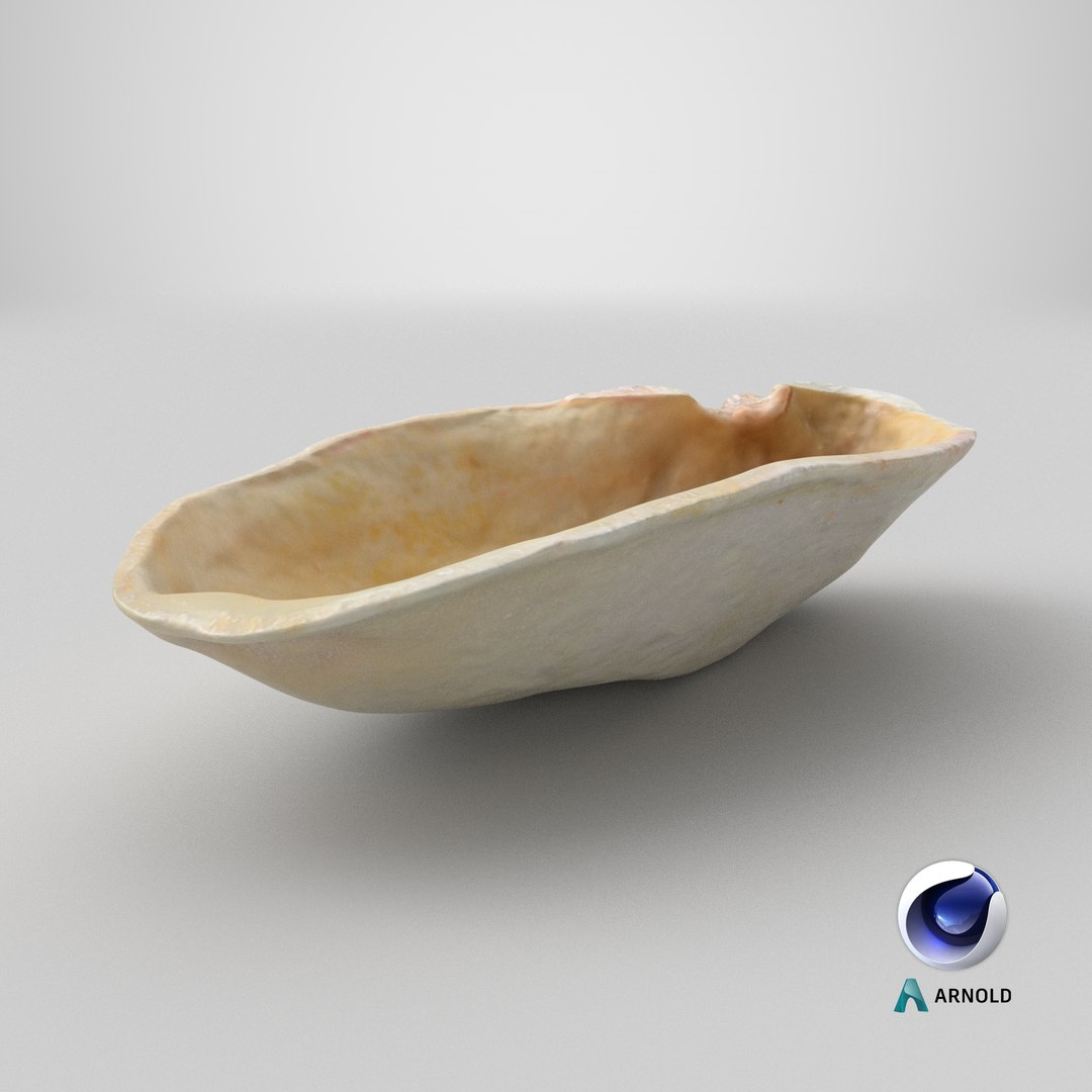Empty Pistachio Shell 02 model https://p.turbosquid.com/ts-thumb/5C/iaVXBD/kR/stemcell_cinema_4d_arnold_render/png/1755579213/1920x1080/fit_q87/a2d12ad956dbb958009261871ba7c96bfce0f530/stemcell_cinema_4d_arnold_render.jpg