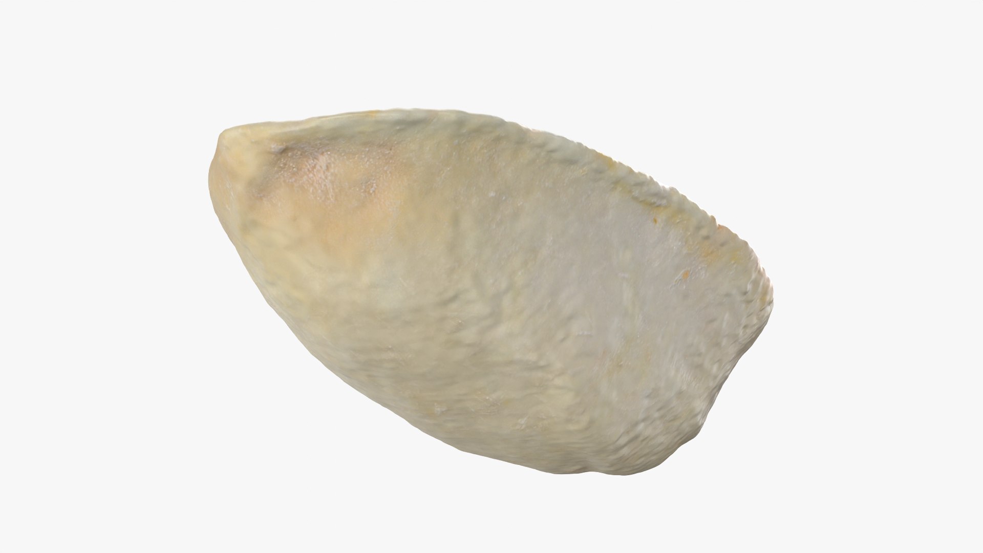 Empty Pistachio Shell 02 model https://p.turbosquid.com/ts-thumb/5C/iaVXBD/lc/pistachioshell2_0007/png/1755085466/1920x1080/fit_q87/db4143af18458ddf1c247ea9dc4ccb1d35ca066e/pistachioshell2_0007.jpg