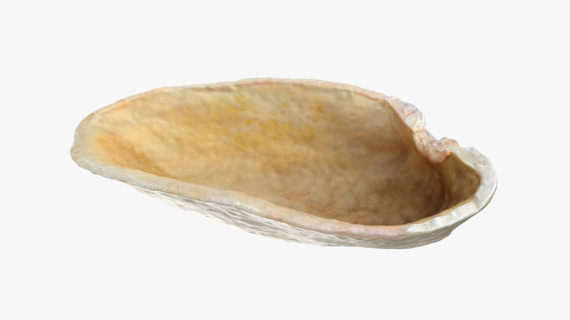 Empty Pistachio Shell 02 model https://p.turbosquid.com/ts-thumb/5C/iaVXBD/tQ/pistachioshell2_0011/png/1755085469/1920x1080/fit_q87/482f7d89e8a6003ad284114c67590822b5a2bb0e/pistachioshell2_0011.jpg