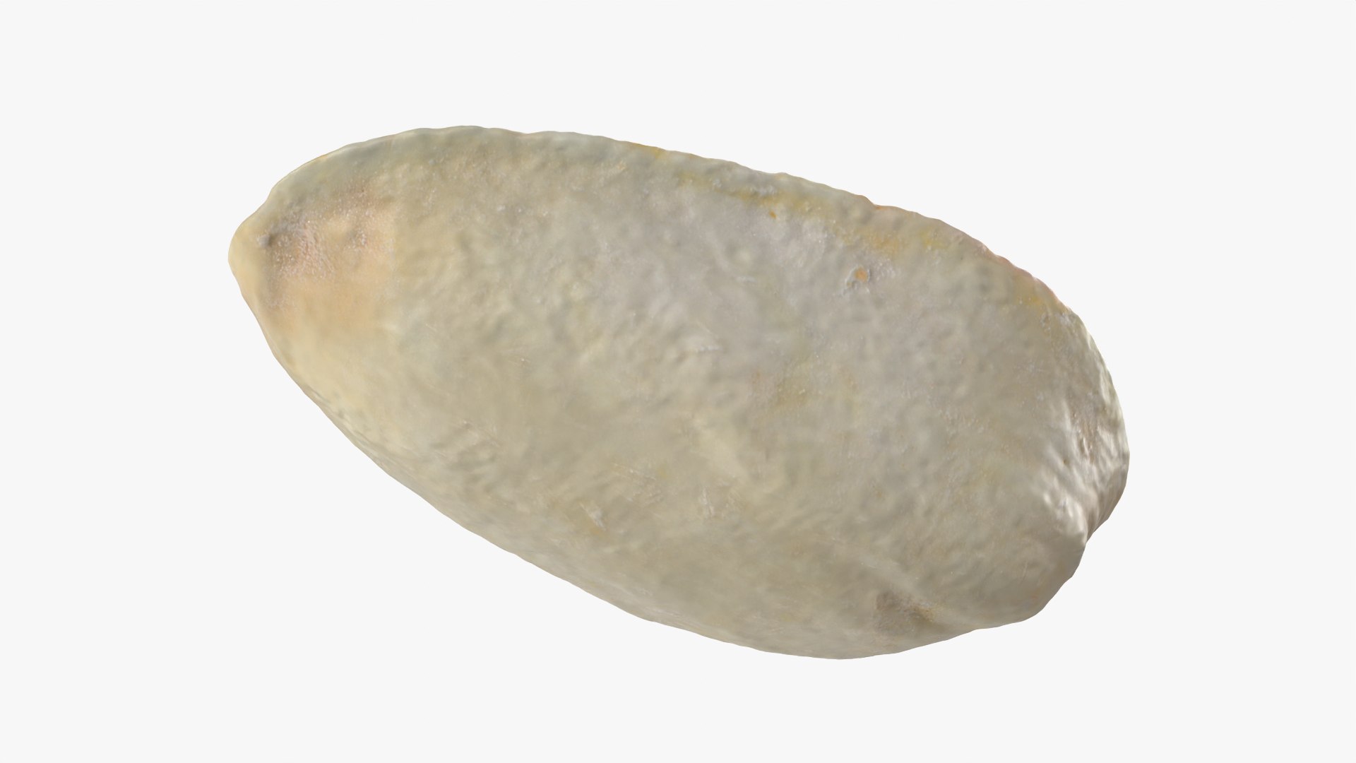Empty Pistachio Shell 02 model https://p.turbosquid.com/ts-thumb/5C/iaVXBD/wx/pistachioshell2_0003/png/1755085462/1920x1080/fit_q87/b3a484e257ad897e737d22f6a4f1eef8c64ba35d/pistachioshell2_0003.jpg