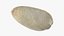 Empty Pistachio Shell 02