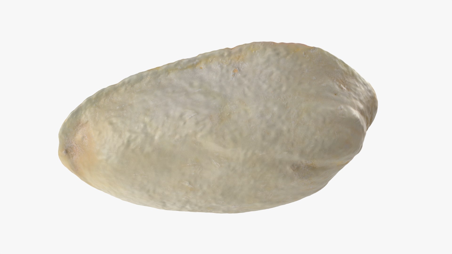 Empty Pistachio Shell 02 model https://p.turbosquid.com/ts-thumb/5C/iaVXBD/zW/pistachioshell2_0012/png/1755085470/1920x1080/fit_q87/e4b8fde923a1eb14695d6a3b6b95c0839e5517d1/pistachioshell2_0012.jpg