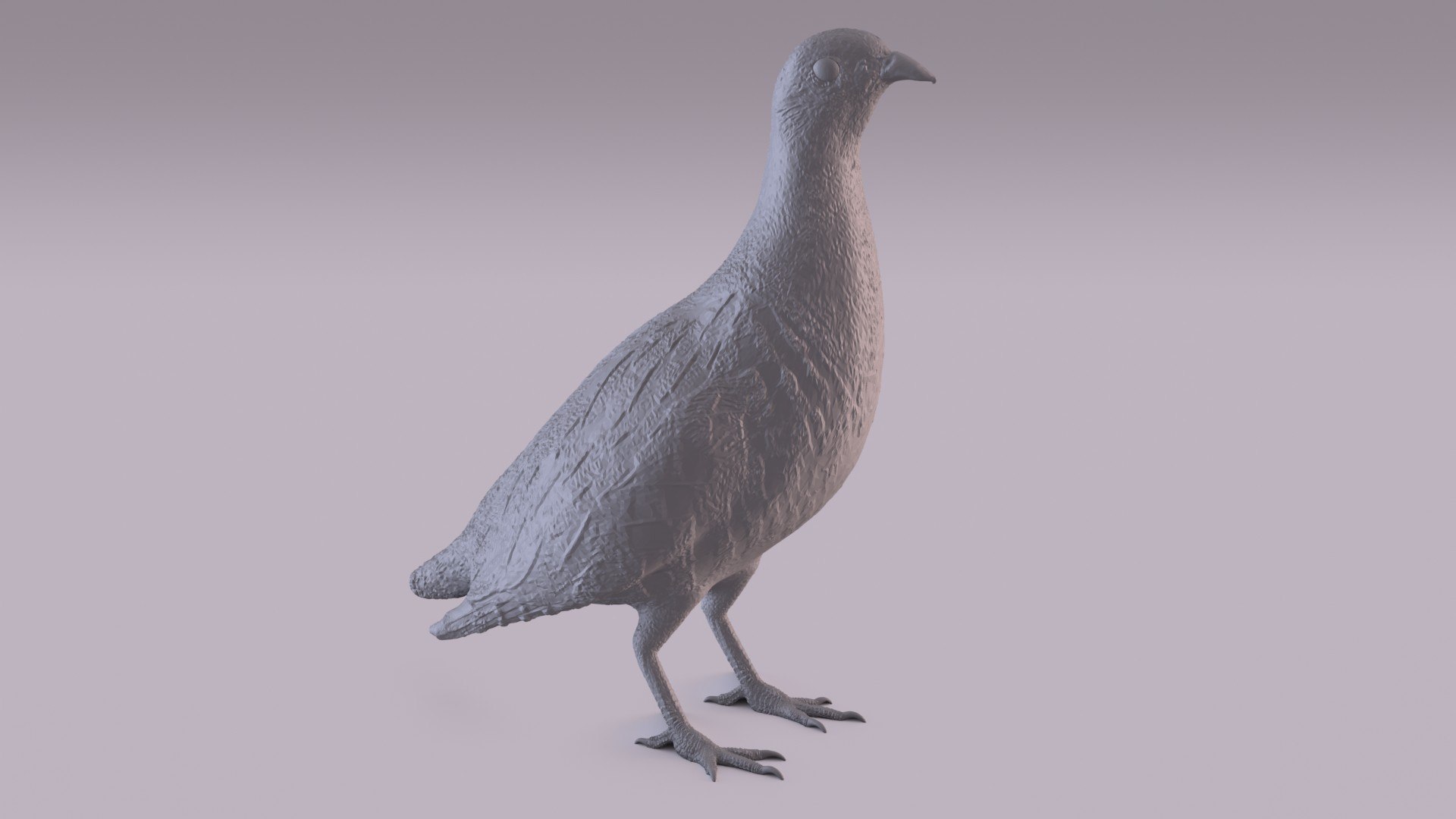 3D Partridge - TurboSquid 1743977