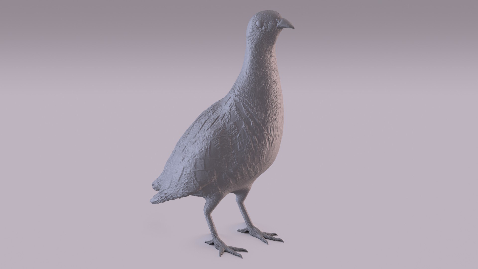 3D Partridge - TurboSquid 1743977
