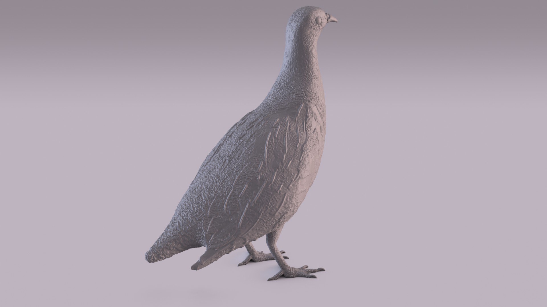 3D Partridge - TurboSquid 1743977