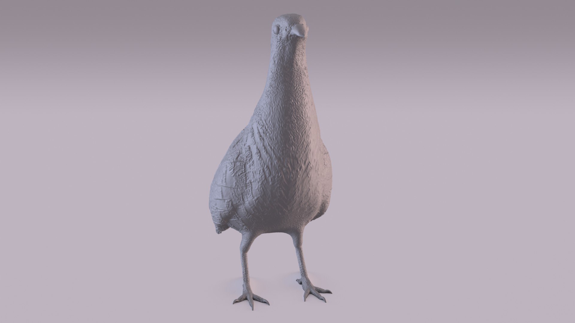 3D Partridge - TurboSquid 1743977