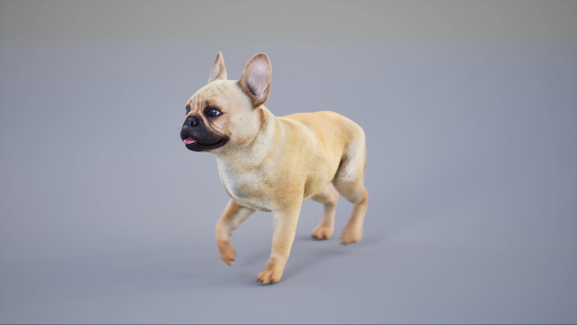 3D French Bulldog Animated UNREAL Project Model - TurboSquid 2314572