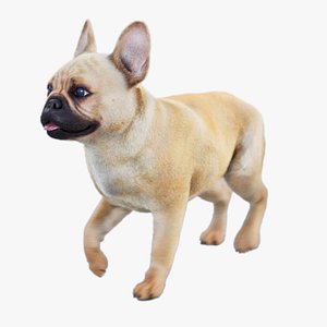 3D French Bulldog Animated UNREAL project model