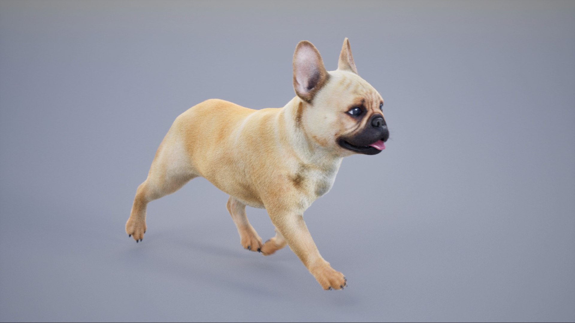 3D French Bulldog Animated UNREAL Project Model - TurboSquid 2314572