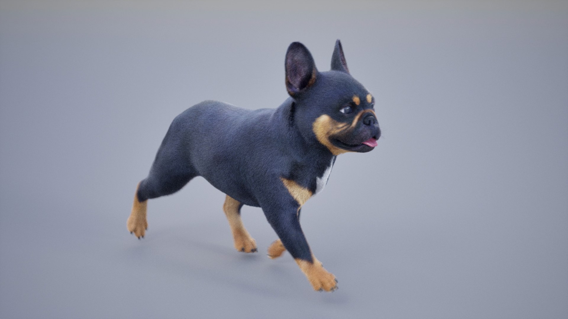 3D French Bulldog Animated UNREAL Project Model - TurboSquid 2314572