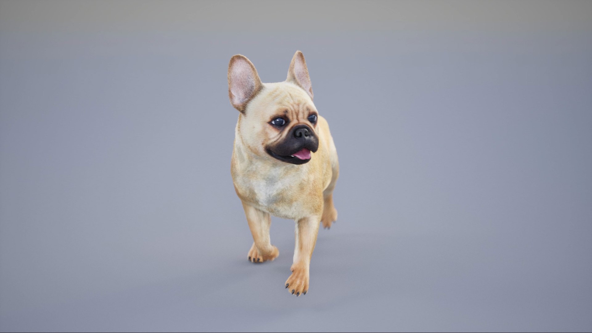 3D French Bulldog Animated UNREAL Project Model - TurboSquid 2314572