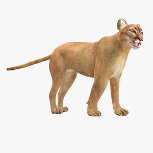 3D model Puma Rigged for Cinema 4D