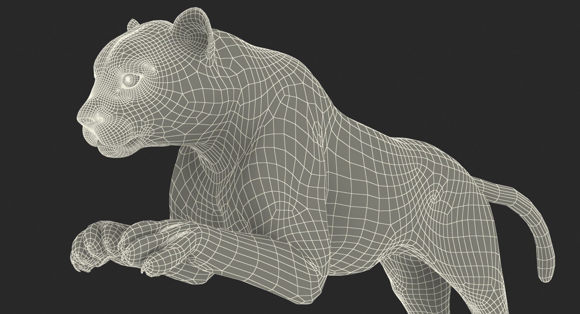 3D Leopard Rigged Animate - TurboSquid 1323679