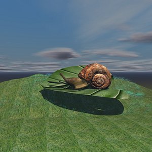 SNAIL ON LEAF SCENE