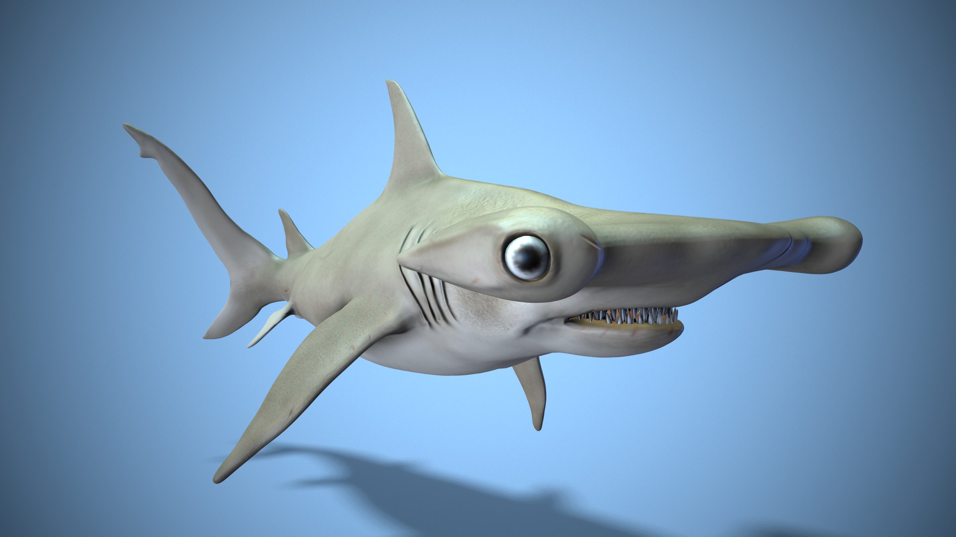 3D Model Hammerhead Shark - TurboSquid 1732714