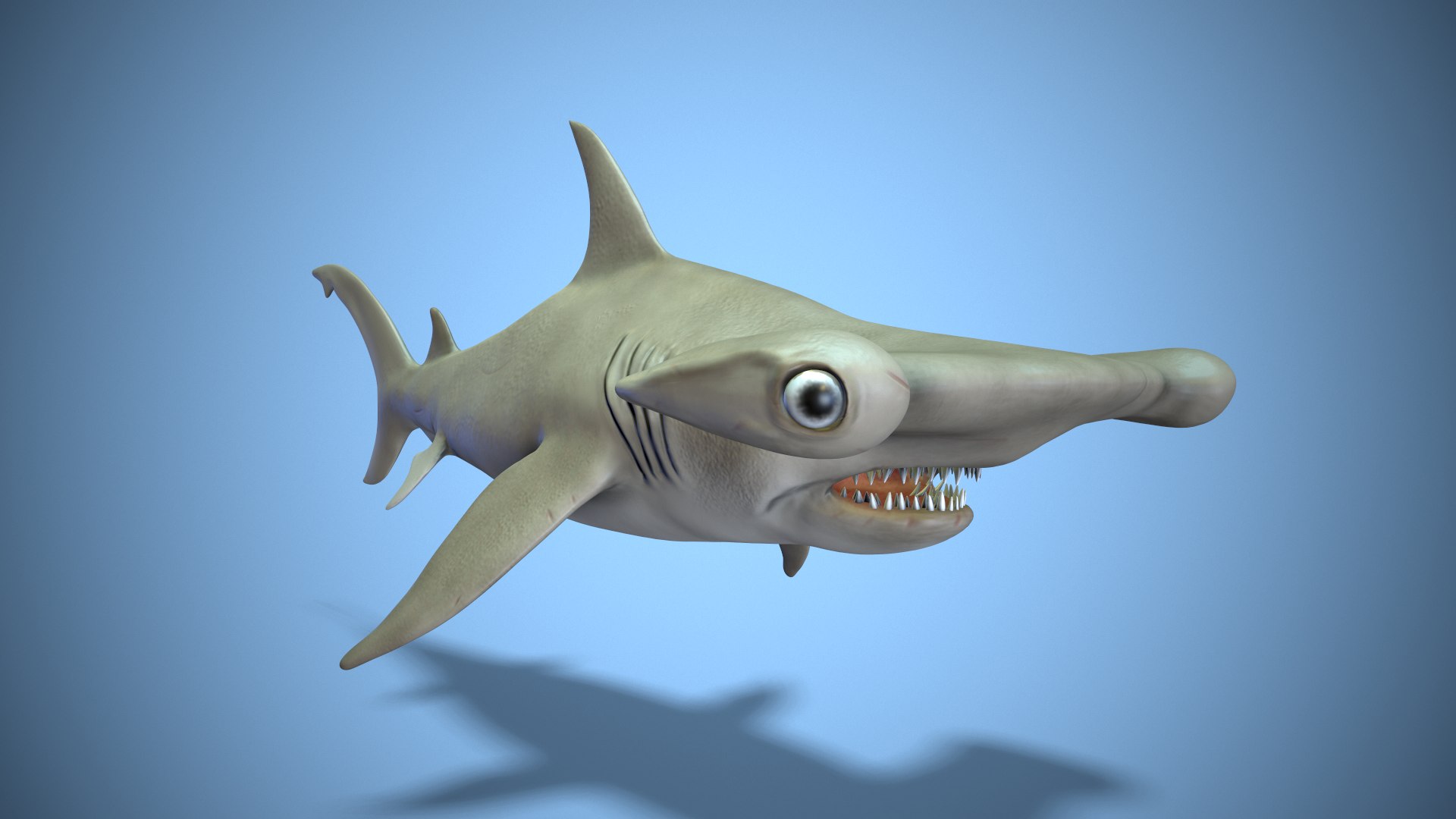 3d Model Hammerhead Shark - Turbosquid 1732714