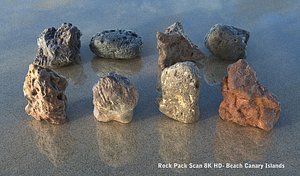 beach canary islands stones 3d model
