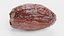 Dried Date