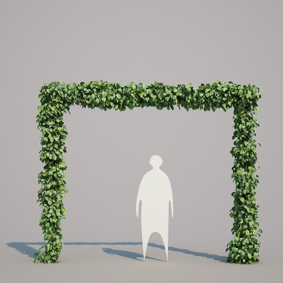 x epipremnum aureum https://p.turbosquid.com/ts-thumb/5D/Y4OaMu/3FEoDuKN/epipremnumaureum_018/jpg/1482716465/1920x1080/fit_q87/da94e12d23cd50c5cec6c7d3b6fd160f39c954db/epipremnumaureum_018.jpg
