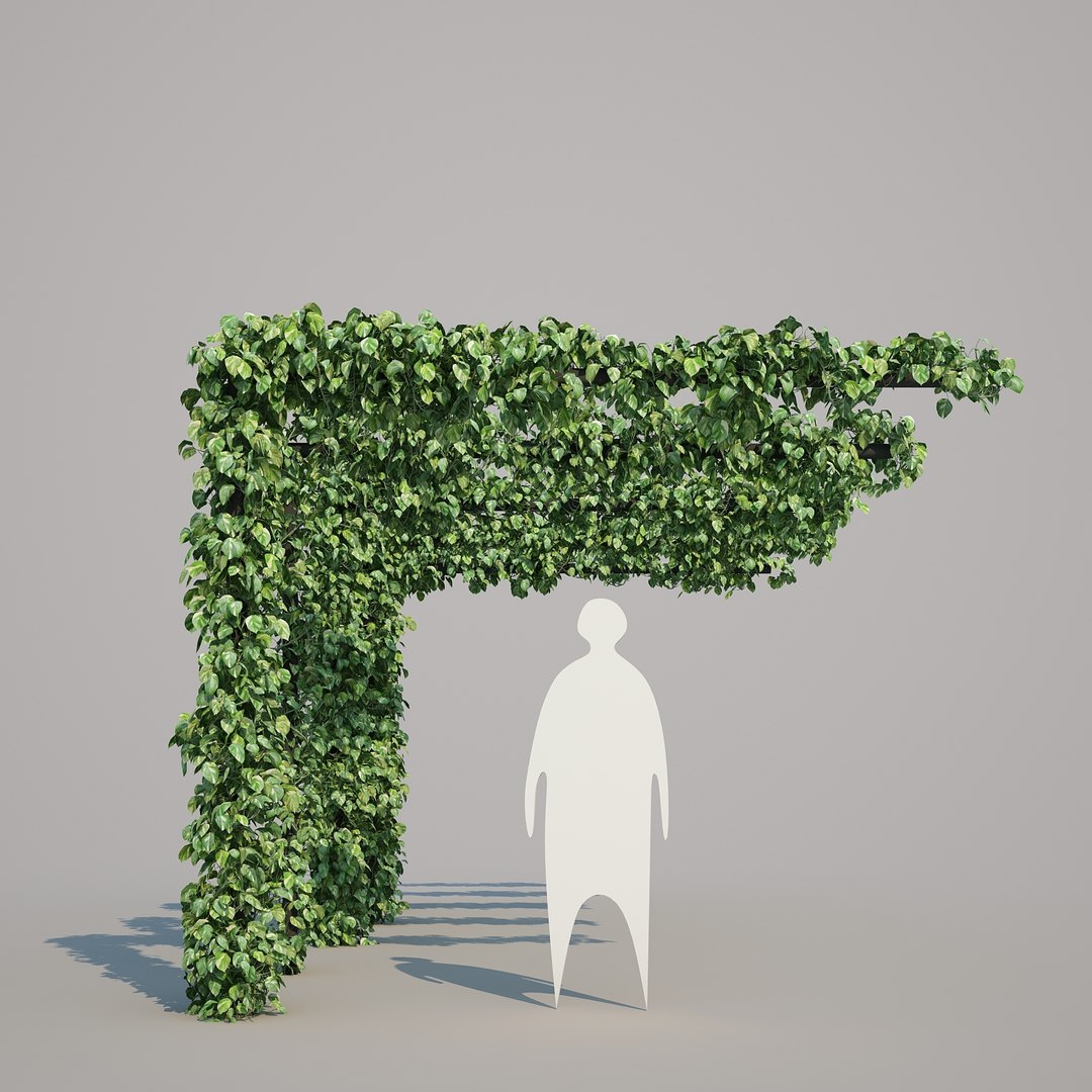 x epipremnum aureum https://p.turbosquid.com/ts-thumb/5D/Y4OaMu/8LdCNT3N/epipremnumaureum_023/jpg/1482716465/1920x1080/fit_q87/a69f5a532bd0cc0e18a63322aaa2ce27fb627b87/epipremnumaureum_023.jpg