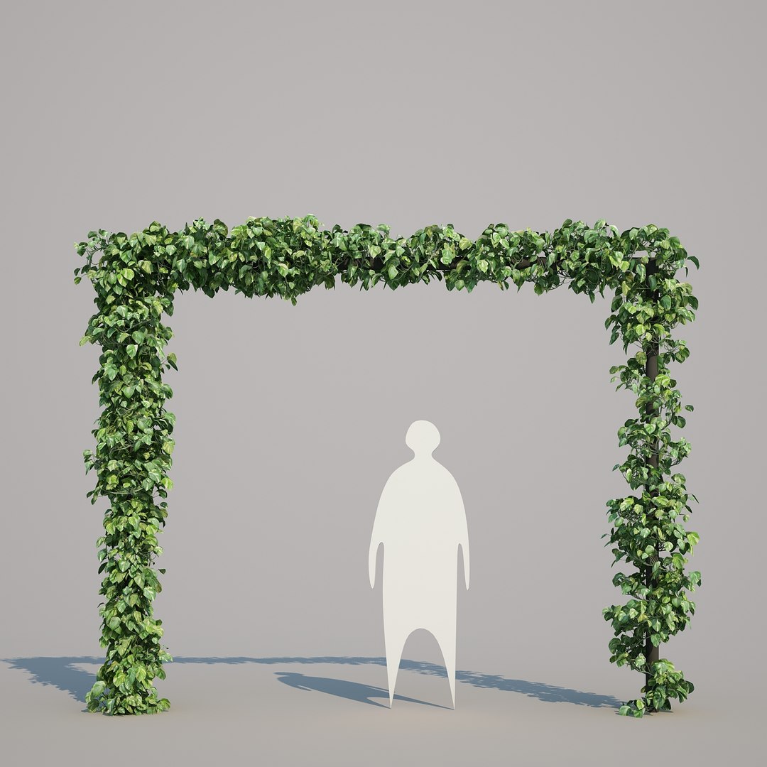 x epipremnum aureum https://p.turbosquid.com/ts-thumb/5D/Y4OaMu/8fwciuNx/epipremnumaureum_020/jpg/1482716465/1920x1080/fit_q87/c2416a1e9bc23c1c321dd3738bfdff36e4d51e74/epipremnumaureum_020.jpg
