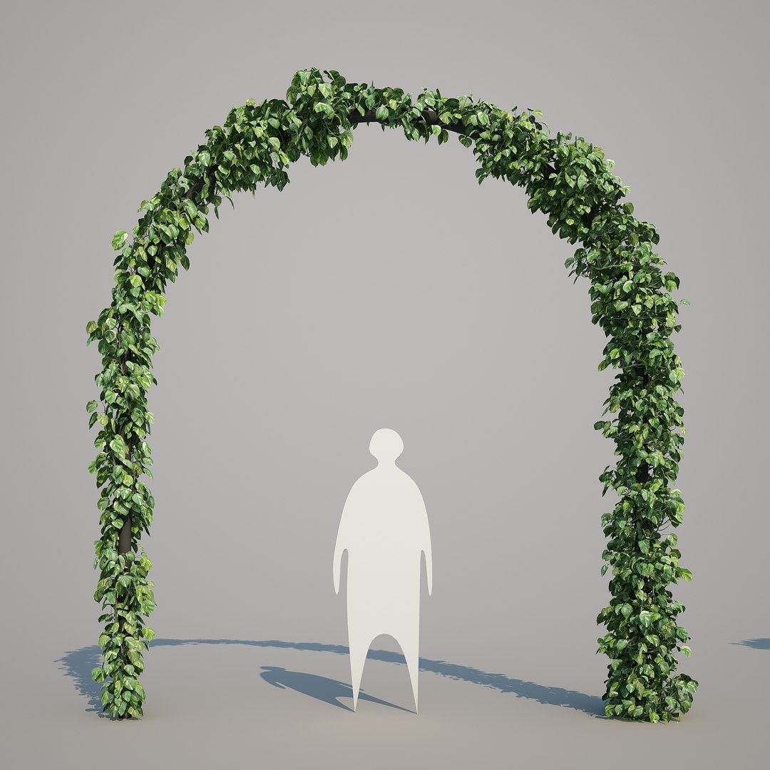 x epipremnum aureum https://p.turbosquid.com/ts-thumb/5D/Y4OaMu/8mWK5DLH/epipremnumaureum_03/jpg/1482716465/1920x1080/fit_q87/96f81d6ee7f13a520939dc6afaab8c960b5c5b47/epipremnumaureum_03.jpg