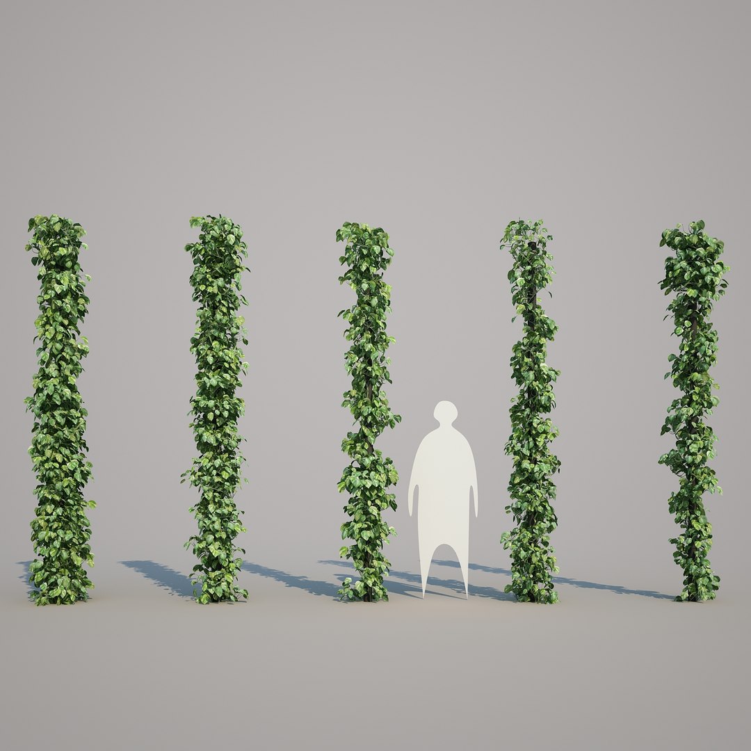 x epipremnum aureum https://p.turbosquid.com/ts-thumb/5D/Y4OaMu/97R96jxg/epipremnumaureum_0610/jpg/1482716465/1920x1080/fit_q87/11fe09b3f2fdc6050778dcf0fcb127ef13edbcd9/epipremnumaureum_0610.jpg