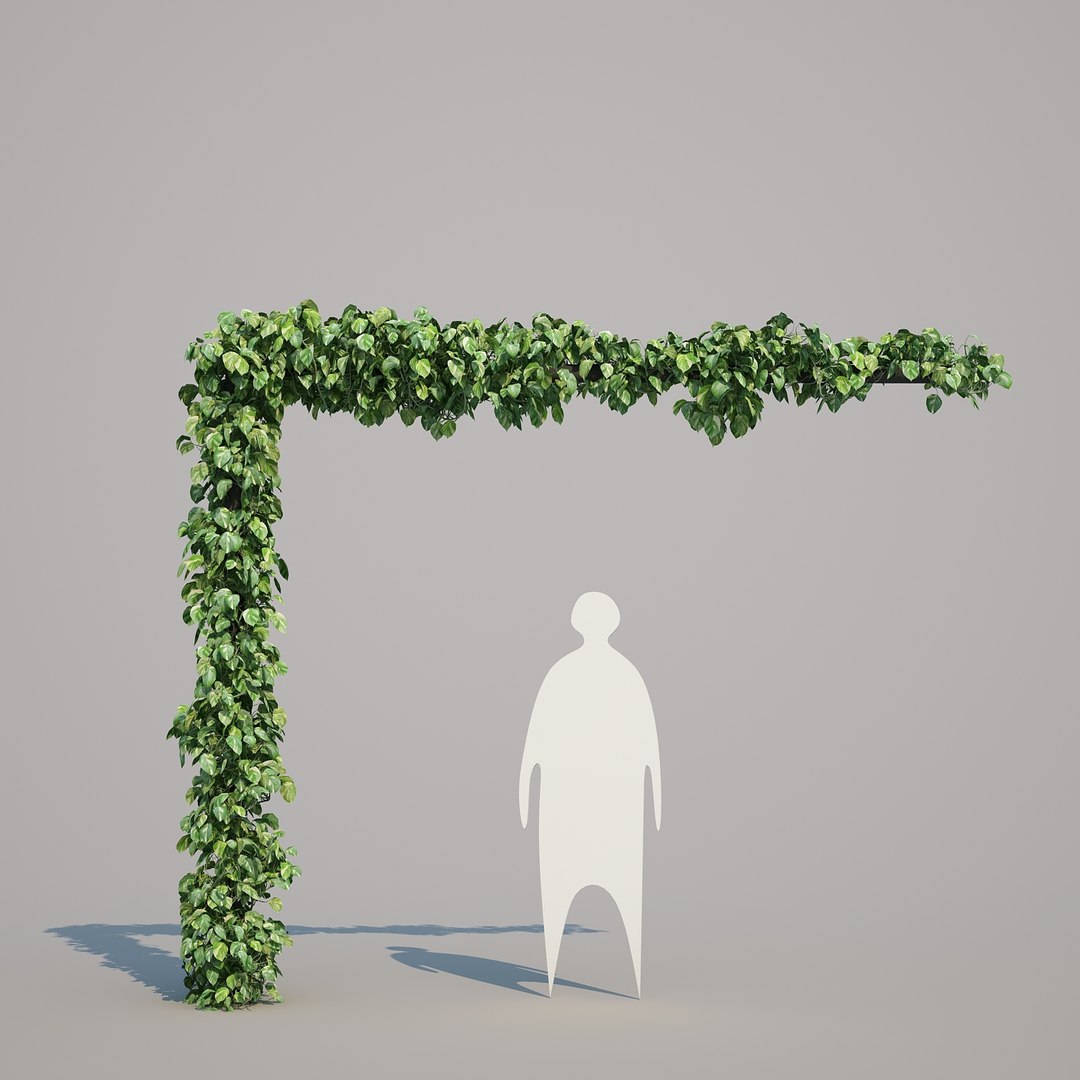 x epipremnum aureum https://p.turbosquid.com/ts-thumb/5D/Y4OaMu/A60nFxTM/epipremnumaureum_011/jpg/1482716465/1920x1080/fit_q87/9640c1eed48d24b82f4e6a587383482d5e7e845f/epipremnumaureum_011.jpg