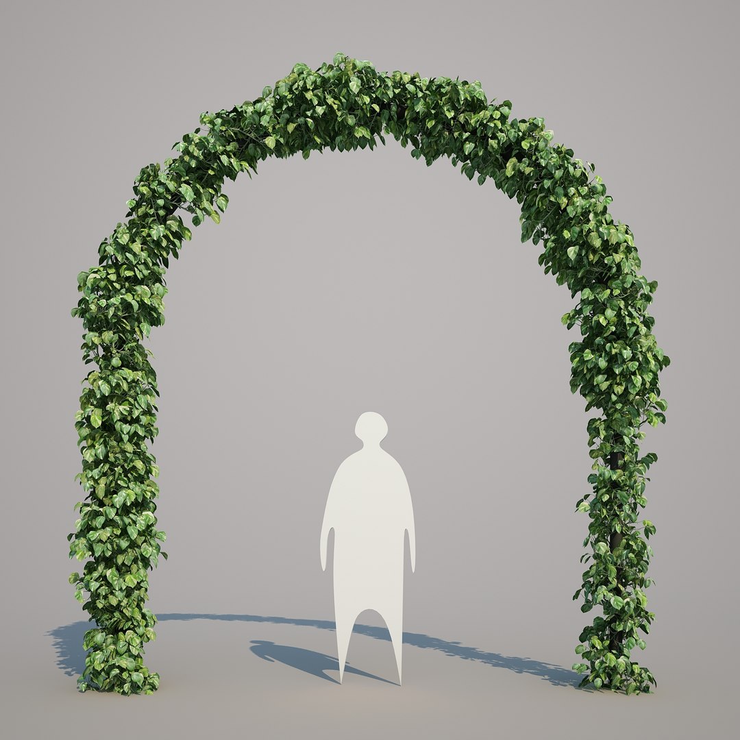 x epipremnum aureum https://p.turbosquid.com/ts-thumb/5D/Y4OaMu/G2Ny0Ta8/epipremnumaureum_01/jpg/1482716465/1920x1080/fit_q87/c452cf21151a57f1a58f485010d79f22695400ca/epipremnumaureum_01.jpg