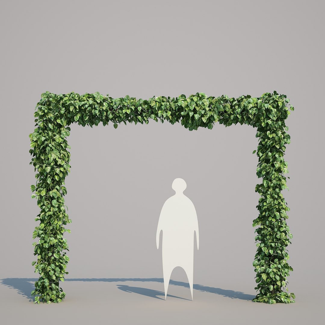x epipremnum aureum https://p.turbosquid.com/ts-thumb/5D/Y4OaMu/GRQjHgfi/epipremnumaureum_019/jpg/1482716465/1920x1080/fit_q87/b4a37619296bfd60a0e61b5c3aaf92eb3fdca615/epipremnumaureum_019.jpg