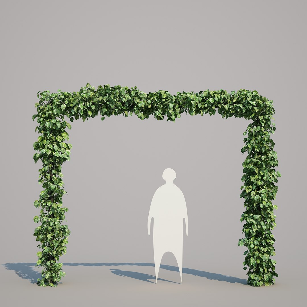 x epipremnum aureum https://p.turbosquid.com/ts-thumb/5D/Y4OaMu/KglR4leM/epipremnumaureum_017/jpg/1482716465/1920x1080/fit_q87/4d5225846c732be5831a7a4d1458755676047601/epipremnumaureum_017.jpg