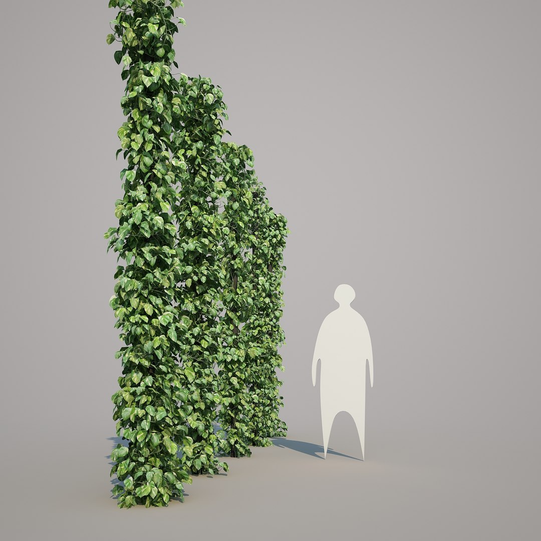 x epipremnum aureum https://p.turbosquid.com/ts-thumb/5D/Y4OaMu/VpELGvbH/epipremnumaureum_022/jpg/1482716465/1920x1080/fit_q87/145a8e2c82454da1ca73575f17f866d76b2bc391/epipremnumaureum_022.jpg