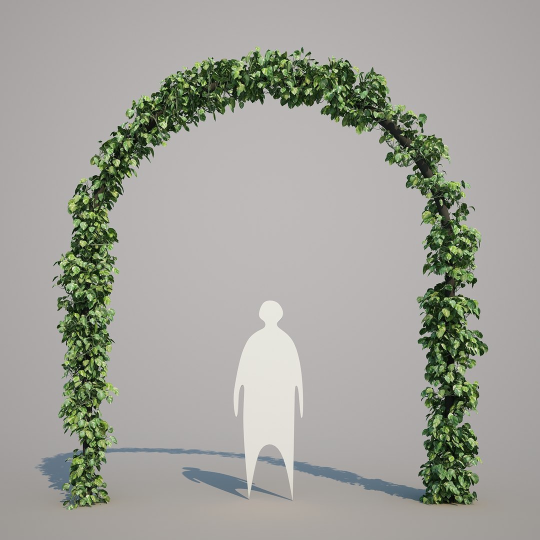x epipremnum aureum https://p.turbosquid.com/ts-thumb/5D/Y4OaMu/XlwmBPZo/epipremnumaureum_05/jpg/1482716465/1920x1080/fit_q87/499e691eb69ec42583e47f037eb6997e80b7aec6/epipremnumaureum_05.jpg