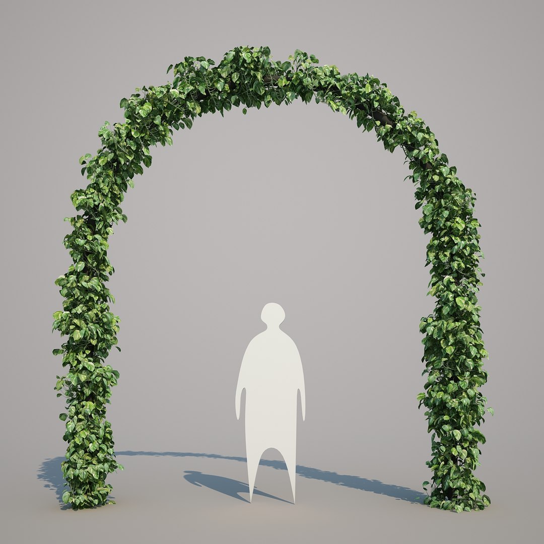 x epipremnum aureum https://p.turbosquid.com/ts-thumb/5D/Y4OaMu/btXyh5GI/epipremnumaureum_02/jpg/1482716465/1920x1080/fit_q87/0e77afbce4aede70bb29796fb200b1114184b445/epipremnumaureum_02.jpg