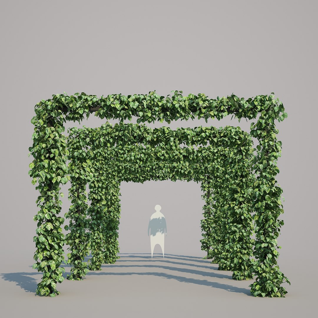 x epipremnum aureum https://p.turbosquid.com/ts-thumb/5D/Y4OaMu/lG7zPx8h/epipremnumaureum_024/jpg/1482716465/1920x1080/fit_q87/1bc5b5e5720aa9bf4bcf2c1c49f0cf4d02cb77fa/epipremnumaureum_024.jpg