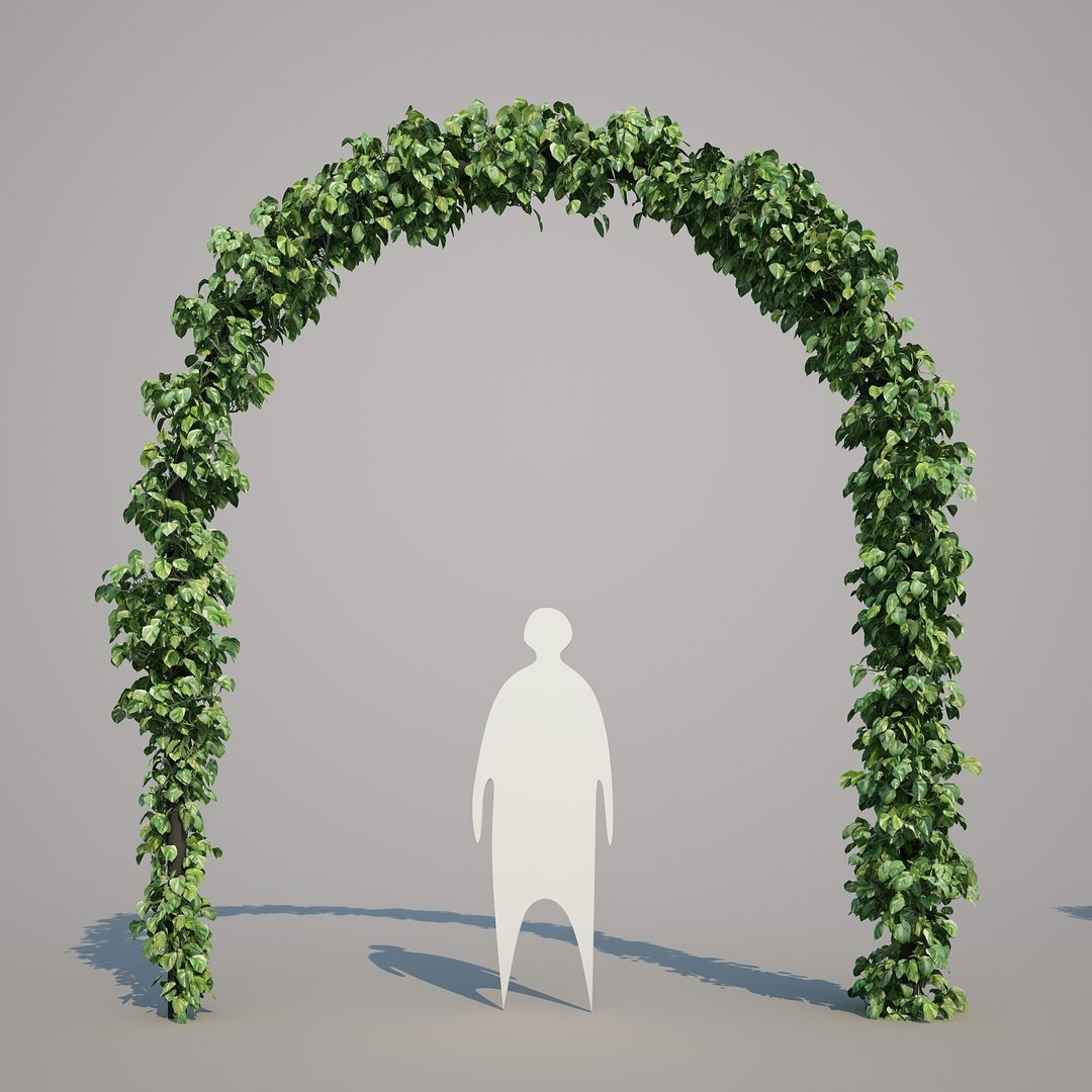 x epipremnum aureum https://p.turbosquid.com/ts-thumb/5D/Y4OaMu/lvswBmGi/epipremnumaureum_04/jpg/1482716465/1920x1080/fit_q87/d41756cc323e92b50102663cf0ed22fe5037e843/epipremnumaureum_04.jpg