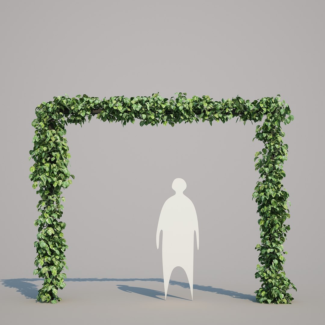 x epipremnum aureum https://p.turbosquid.com/ts-thumb/5D/Y4OaMu/qO68SOv2/epipremnumaureum_016/jpg/1482716465/1920x1080/fit_q87/1b6c9a5887618a7041e7a4a0b22f0cb990382940/epipremnumaureum_016.jpg