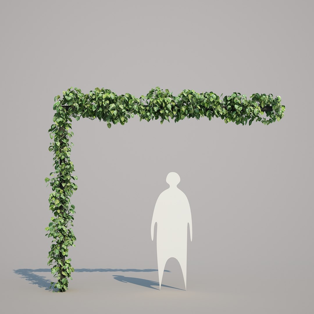 x epipremnum aureum https://p.turbosquid.com/ts-thumb/5D/Y4OaMu/ujAGiG5c/epipremnumaureum_012/jpg/1482716465/1920x1080/fit_q87/b694a260e134e6f8c4f58725b6225a9146f3da18/epipremnumaureum_012.jpg