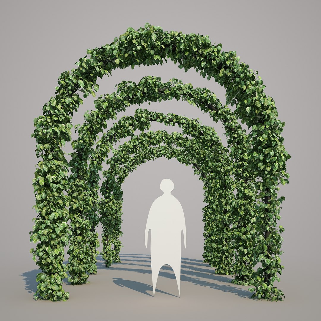 x epipremnum aureum https://p.turbosquid.com/ts-thumb/5D/Y4OaMu/x7OuM47Y/epipremnumaureum_021/jpg/1482716465/1920x1080/fit_q87/6e217a563820974025a6f9710e15f476dfd22fa6/epipremnumaureum_021.jpg