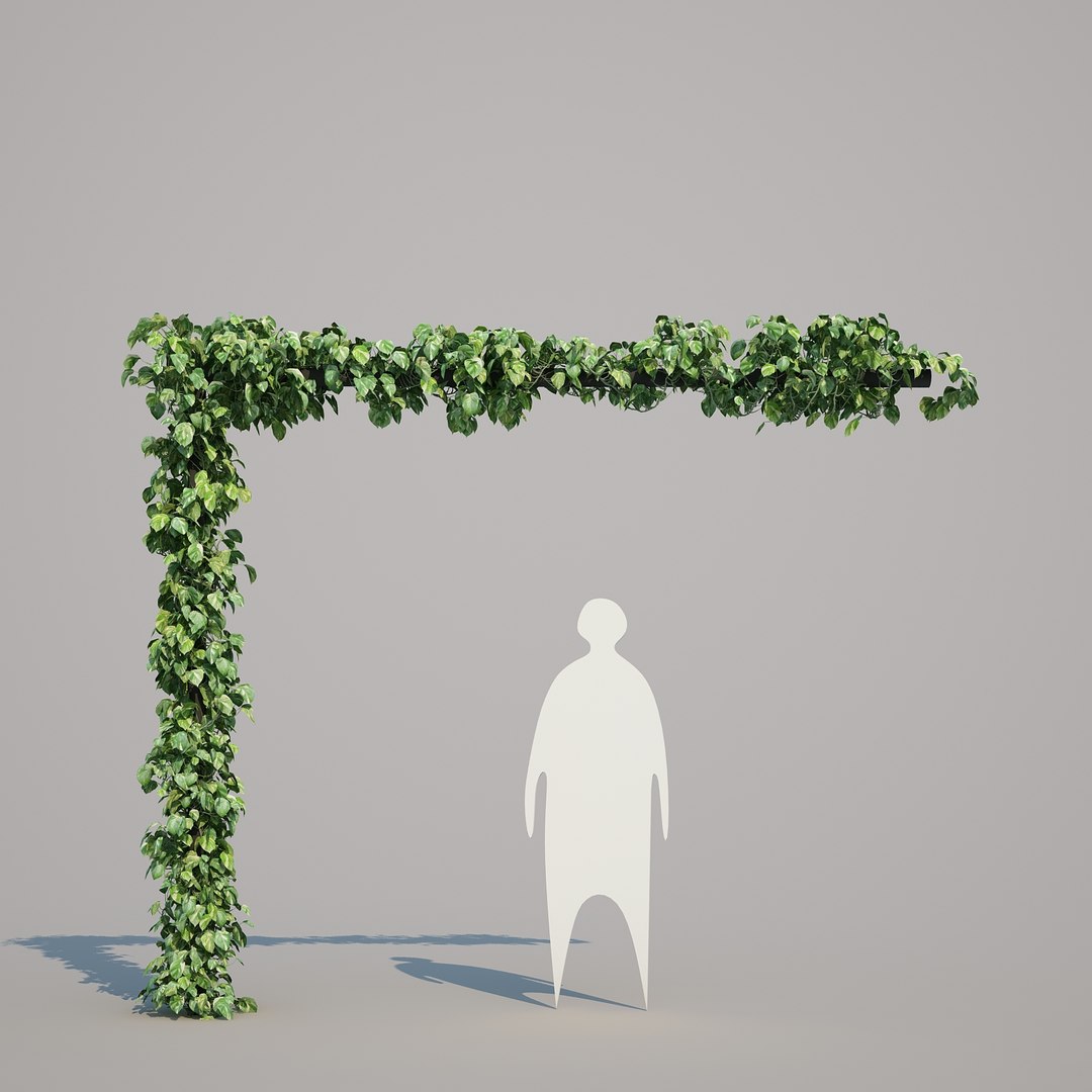 x epipremnum aureum https://p.turbosquid.com/ts-thumb/5D/Y4OaMu/z2pUnYpr/epipremnumaureum_015/jpg/1482716465/1920x1080/fit_q87/83550c07eef02760a5552da611779bc2819b434a/epipremnumaureum_015.jpg