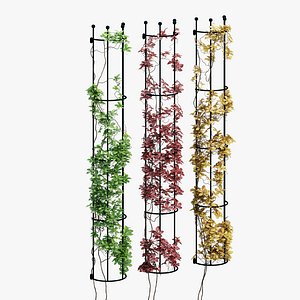 Drainpipe trellis 3D model