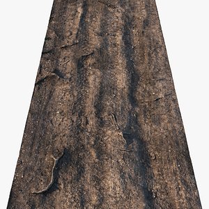3D model Forest road material 02
