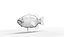 largemouth bass 3D model