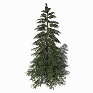 3D yellow cypress tree model