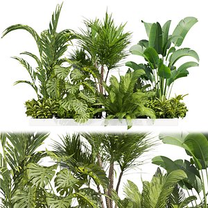 3D Collection plant vol 436 - indoor - garden - leaf - 3dsmax - cinema 4d model