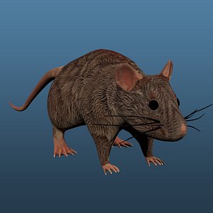 Mouse Rig Low-poly