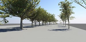 High Poly Dense Tree Pack (12)