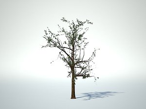 3d tree model