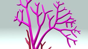 carrageenan carrageen obj